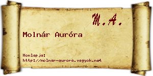 Molnár Auróra névjegykártya